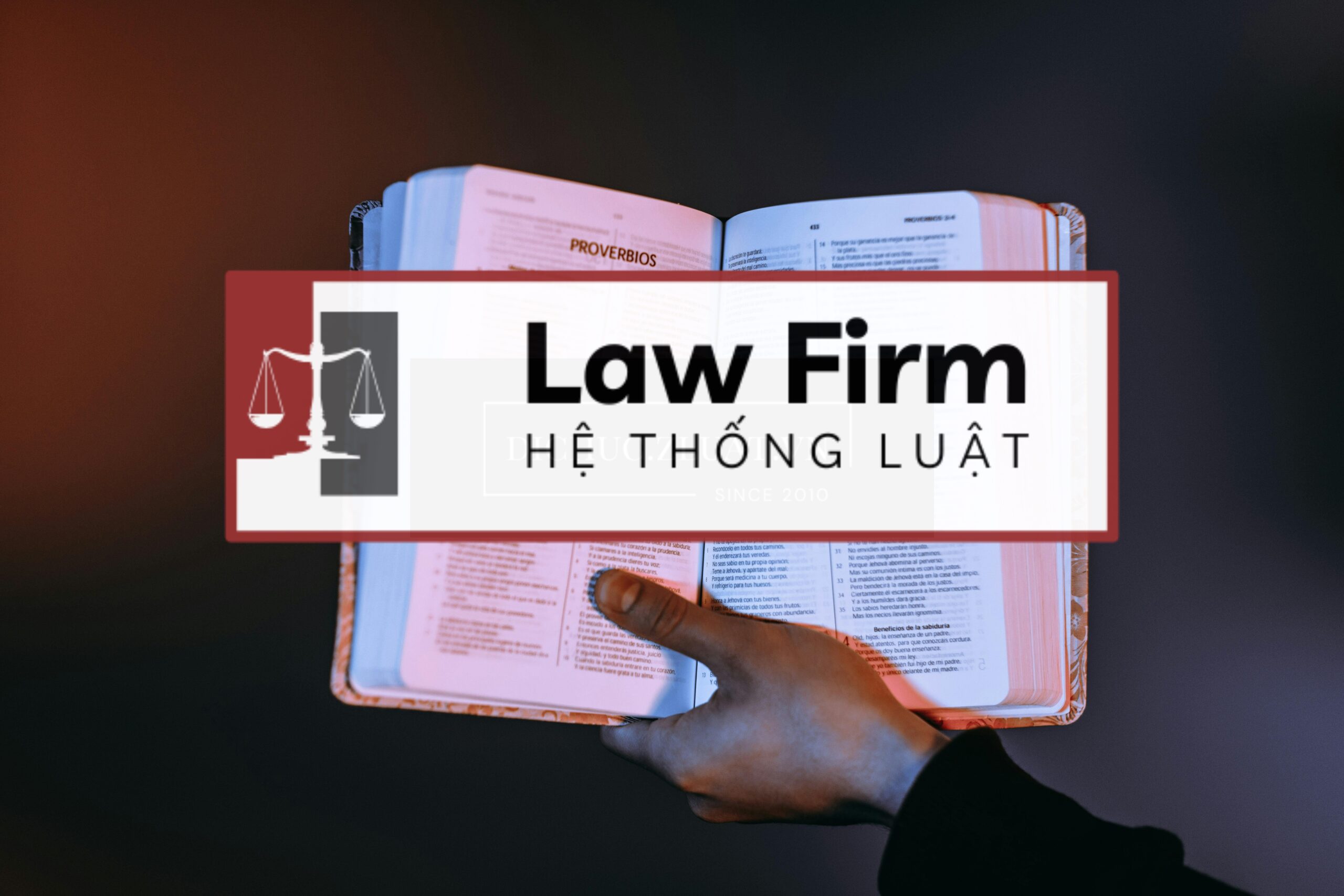 <b>Gói Luật sư tư vấn hỗ trợ soạn thảo và xử lý tranh chấp các vấn đề về thừa kế, chia di sản tại Xã Phú Ninh, Đà Nẵng</b> - Ảnh 2