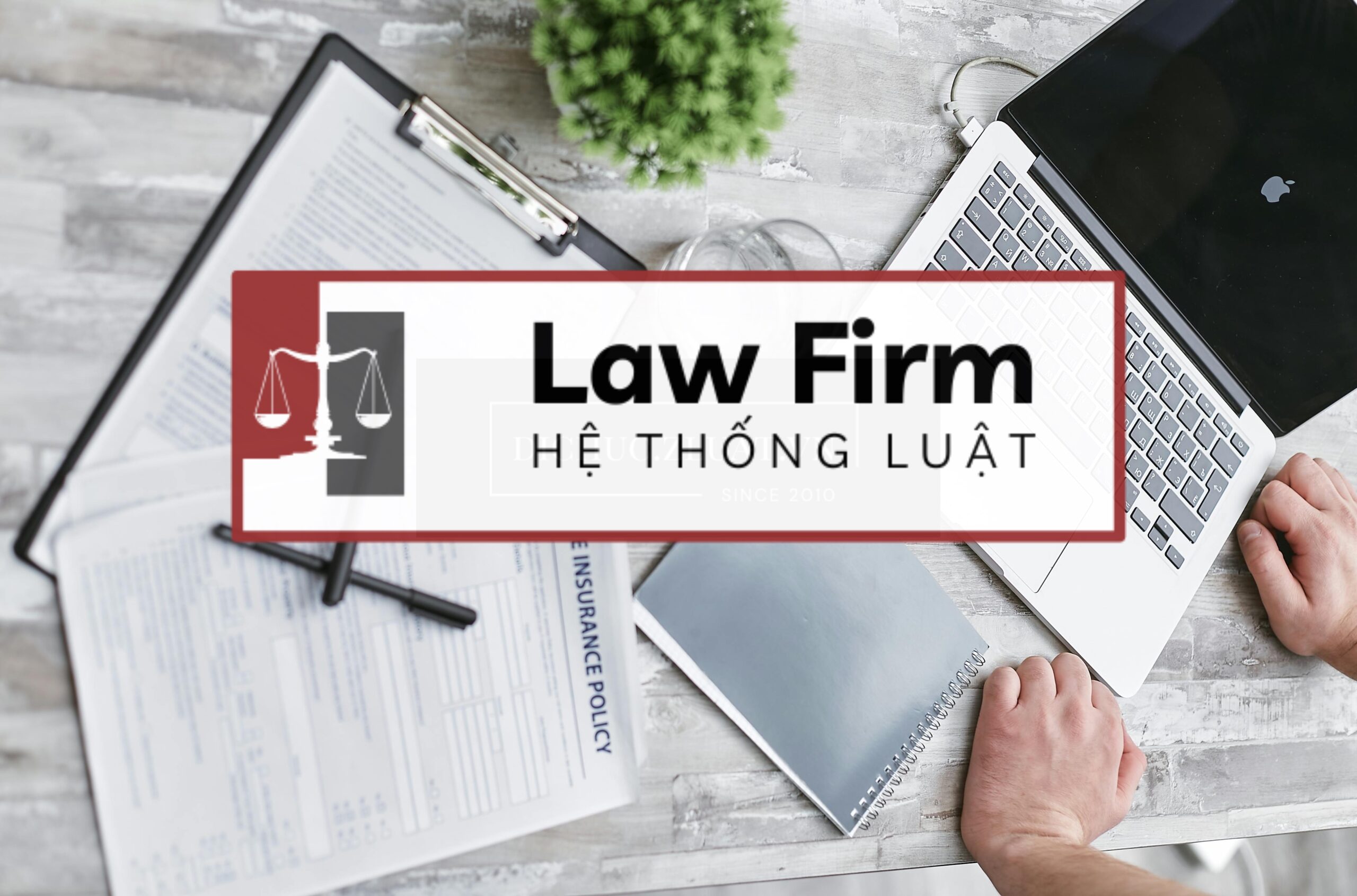 <b>Dịch vụ trọn gói cố vấn soạn hồ sơ và xử lý tranh chấp các thủ tục phân chia di sản và thừa kế ở Xã Thuận Mỹ, Tây Ninh</b> - Ảnh 2